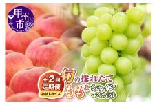 【定期便】【お試しサイズ】旬の採れたて2回定期便（桃・シャインマスカット）【2026年発送】（HO）B14-1410