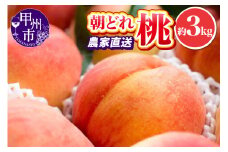 池田青果 朝どれ 大玉 桃 約3kg 7～11玉 農家直送【2026年発送】（IS）B15-456
