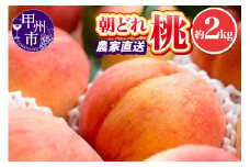 池田青果 朝どれ 大玉 桃 約2kg 4～7玉 農家直送【2026年発送】（IS）B-467