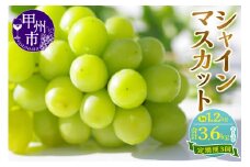新鮮産直！甲州市・シャインマスカット3回定期便【2026年発送】（KSF）D5-125