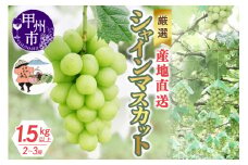 厳選！産地直送ぶどう「シャインマスカット」1.5kg以上（2～3房）【2025年発送】（KKH）B12-490