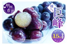 新鮮産直甲州市！種なし巨峰 約1.5kg 2～4房【2025年発送】（KSF）B12-461
