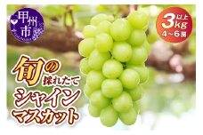 旬の採れたて大粒シャインマスカット3.0kg以上（4房～6房）【2026年発送】（HO）C5-401