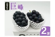 厳選 池田青果 巨峰 1.0kg以上 2房入り【2025年発送】（IS）B-468