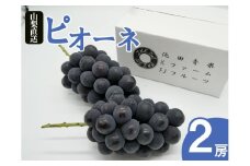 厳選 ピオーネ 1.0kg以上 2房入り【2025年発送】（IS）B-478