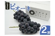 厳選 ピオーネ 1.0kg以上 2房入り【2026年発送】（IS）B-478