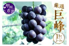 甲州市産 厳選 巨峰 1kg以上（2～3房）【2025年発送】（APX）B-871 
