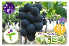 JAフルーツ山梨 甲州市産種なし巨峰2房【80】【2025年発送】B-104
