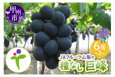 JAフルーツ山梨 甲州市産種なし巨峰6房【100】【2025年発送】C-107
