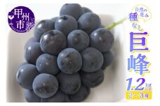 産地直送 山梨自然の恵み！種なし巨峰 2～3房 1.2kg以上【2025年発送】（LKS）B-851