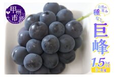 産地直送 山梨自然の恵み！種なし巨峰 3～4房 1.5kg以上【2026年発送】（LKS）B12-162