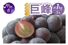甲州市産 朝採れ！巨峰 約1kg（2房）【2026年発送】（RC）B-439