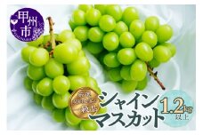 厳選契約農家の一級品 シャインマスカット1.2kg以上 2～3房【2026年配送】（SFL）B12-430
