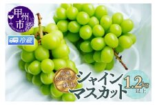 【クール配送】厳選契約農家の一級品 シャインマスカット 1.2kg以上 2～3房【2025年発送】（SFL）B12-430CO