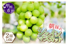 感謝を込めて最高の朝採りシャインマスカットをお贈りします！1.0kg以上（2房）【2026年発送】（LMS）B-416