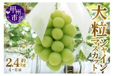 甲州市産厳選大粒シャインマスカット約1.2kg 2～3房×2箱【2026年発送】（MG）C1-480