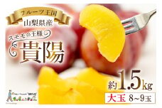 【2025年発送】 貴陽 (大玉) [株式会社えべし 山梨県 中央市 21470728] 果物 くだもの スモモ すもも プラム 李 もも 山梨県産 期間限定 季節限定 冷蔵