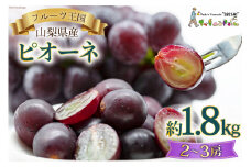 【2025年発送】 山梨県産 ピオーネ 約1.8kg [株式会社えべし 山梨県 中央市 21470729] フルーツ 果物 くだもの 産地直送 期間限定 季節限定 冷蔵