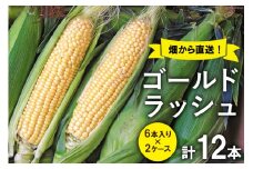 【2025年発送】 スイートコーン (ゴールドラッシュ) 12本 [株式会社えべし 山梨県 中央市 21470248] とうもろこし トウモロコシ コーン やさい 野菜 旬野菜 旬 季節限定 期間限定 冷蔵