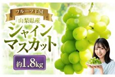 【2025年発送】 ぶどう 山梨県産 シャインマスカット 約1.8kg [株式会社えべし 山梨県 中央市 21471021] フルーツ 果物 くだもの ブドウ シャイン マスカット 葡萄 期間限定 季節限定