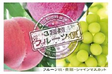 山梨の特産 3種類フルーツ便 桃 約1.8kg 貴陽 約1.5kg シャインマスカット 約1.8kg [築宝 山梨県 中央市 21470735] モモ 桃 もも マスカット フルーツ 果物  旬の果物 季節限定 冷蔵【2025年6月下旬-10月上旬発送予定】