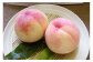 山梨の特産 3種類フルーツ便 桃 約1.8kg 貴陽 約1.5kg シャインマスカット 約1.8kg 