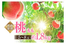 【2025年発送】 産直朝採 山梨県 中央市産 桃 約1.8kg [ピーチファームなんば 山梨県 中央市 21470170] もも 桃 モモ フルーツ 果物 くだもの 1.8キロ 産地直送 期間限定 季節限定
