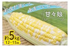 【期間限定発送】甘々娘 約5kg（12本～15本） ／ 泉農園 とうもろこし トウモロコシ スイートコーン コーン 新鮮 野菜 季節限定 山梨県 中央市