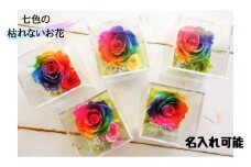 メッセージ刻印 プリザーブドフラワー レインボーローズ クリアボックス 5色 / なないろ / 山梨県 中央市