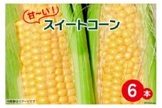 【期間限定発送】 甘～い ! スイートコーン 6本 [よしろーさんちの農園 山梨県 中央市 21470396] とうもろこし トウモロコシ コーン やさい 野菜 旬野菜 旬 季節限定 期間限定 冷蔵