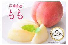 【期間限定発送】 もも 約2kg [ASファーム 山梨県 中央市 21470908] 果物 フルーツ 桃 期間限定 季節限定 数量限定 産地直送