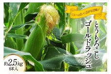 【2025年発送】 とうもろこし ゴールドラッシュ 約2.5kg 6本入 《6月前半から順次お届け》 [JAふえふき 山梨県 中央市 21470469] やさい 野菜 トウモロコシ コーン 2.5キロ 6本 季節限定 期間限定 数量限定 山梨 山梨県産