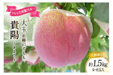【2025年発送】 すもも 貴陽 約1.5kg 化粧箱入 6-8玉《7月前半から順次お届け》[JAふえふき 山梨県 中央市 21470470] フルーツ 果物 くだもの 1.5キロ 季節限定 期間限定 数量限定 山梨 山梨県産