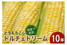 【先行予約】とうもろこし ドルチェドリーム 10本 [マルヨシ園芸 山梨県 中央市 21470552] 朝採り 新鮮 期間限定 トウモロコシ 甘い ジューシー 野菜 農家直送 