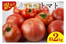 【2025年発送】 秋作 訳あり 桃太郎トマト 約2kg [ヨダファーム 山梨県 中央市 21470979] 規格外 家庭用 不揃い トマト とまと 野菜 やさい 2キロ 季節限定 期間限定 産地直送 山梨県産 訳アリ tomato【2025年10月上旬-12月下旬発送予定】