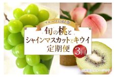 【先行受付】【3回 定期便 】山梨県産 フルーツ 『 桃 2kg & シャインマスカット 1.8kg & キウイフルーツ 1.5kg』 [ えべし 山梨県 中央市 21470867] 果物 くだもの もも マスカット キウイ