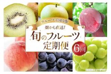 【先行受付】【6回定期便】 フルーツ王国 山梨県産 6種セット ／ えべし フルーツ 果物 くだもの 貴陽 すもも もも 桃 梨 なし ぶどう ブドウ 葡萄 シャインマスカット キウイ 新鮮 果実 産地直送 山梨県 中央市