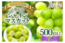 【2025年発送】ぶどう 山梨県産 シャインマスカット500g以上（1房） [株式会社えべし 山梨県 中央市 21470865] フルーツ 果物 くだもの ブドウ シャイン マスカット 葡萄 期間限定 季節限定