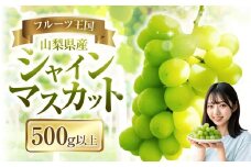 【2025年発送】ぶどう 山梨県産 シャインマスカット500g以上（1房） [株式会社えべし 山梨県 中央市 21470865] フルーツ 果物 くだもの ブドウ シャイン マスカット 葡萄 期間限定 季節限定