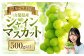 【2025年発送】ぶどう 山梨県産 シャインマスカット500g以上（1房）