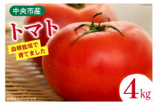 トマト 中央市産トマト 4kg 18‐24個 [とまと舎たかの 山梨県 中央市 21470758] 野菜 やさい とまと 甘い リコピン 