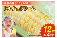 【2025年発送】『魅惑のとうもろこし』 ドルチェドリーム × 12本 約4kg [メディアブレインアグリエール 山梨県 中央市 21470903] とうもろこし 野菜 トウモロコシ スイートコーン コーン 甘い 朝採り 大粒 新鮮 