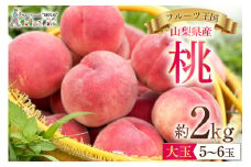 【2025年発送】山梨県産 桃 約2kg [えべし 山梨県 中央市 21470864] もも モモ くだもの 産地直送 フルーツ 果物 2キロ 冷蔵 山梨 白桃 