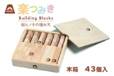 積み木 日本製 楽つみ木 43個入 木箱 [木楽舎 山梨県 中央市 21471044] 知育 脳トレ 木製 遊び