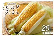 【期間限定発送】 とうもろこし ゴールドラッシュ 20本入り 2Lサイズ 山梨県中央市産 [アクロプラス 山梨県 中央市 21471051] トウモロコシ スイートコーン 甘い コーン 野菜