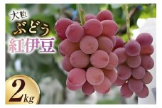大粒ぶどう 紅伊豆 2㎏以上 [さとう農園 山梨県 中央市 21471041] ぶどう ブドウ 葡萄 くだもの 果物 フルーツ 
