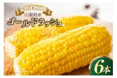 とうもろこし ゴールドラッシュ 6本 [さとう農園 山梨県 中央市 21471040] トウモロコシ スイートコーン 甘い コーン 野菜