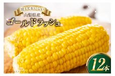 とうもろこしゴールドラッシュ　12本入り [さとう農園 山梨県 中央市 21471039] トウモロコシ スイートコーン 甘い コーン 野菜