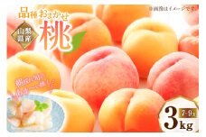 【期間限定発送】桃  山梨県産 約 3kg 秀品 [のすけファーム 山梨県 中央市 21471050] もも モモ 果物 フルーツ ピーチ