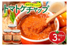 濃厚芳醇とろけるトマトケチャップ 3本 (180g×3) [ヨダファーム 山梨県 中央市 21471032] トマト とまと ケチャプ 調味料 tomato 